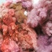 Briar Rose - Supersoft Cormo Fleece Hand Dyed