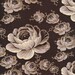 Free Spirit Fabric Denyse Schmidt Greenfield Hill Preservation Peony DS17 Dogwood BTY