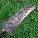 Smudging Fan with Owl feathers handmade with love & respect