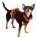 Autumn Dog Sweater Dress
