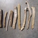 11 Natural Driftwood Pieces Crafts Beach