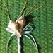 Seashell Beach Destination Wedding Sea Shell Boutonniere / Corsage
