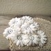 Vintage - Vintage Crochet Flowers - Vintage doily - Vintage Trims