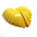 Art Deco Celluloid Buckle - Wings