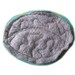 Zombies Ate My Brain Organic Catatonic Catnip Cat Toy