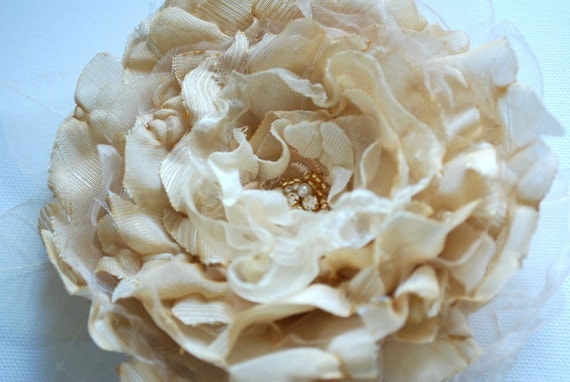 Champagne-cream-gold romantic rose-Vintage