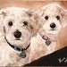 Custom Pet Portrait with Two Pets 12 x 15 by Kristen Dougherty