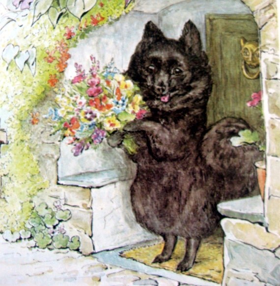 Vintage Book The Tale of The Pie and the Patty Pan Illustrated