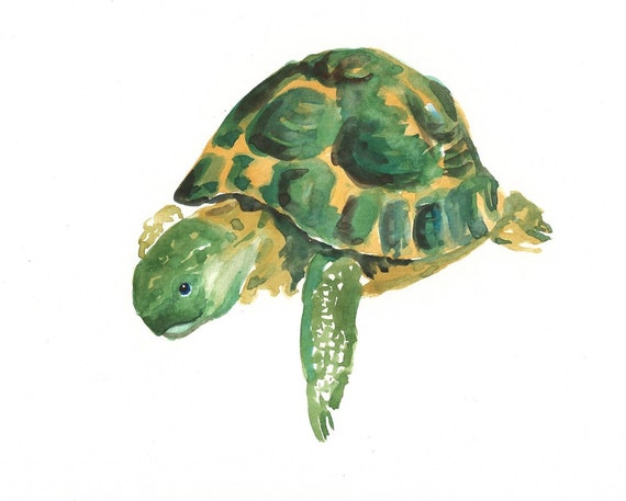 TORTOISE by DIMDI Original watercolor painting 10X8inch by dimdi