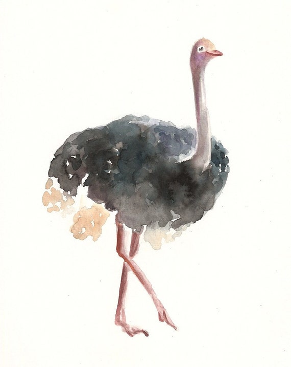 OSTRICH by DIMDI Original watercolor painting 8X10inch by dimdi