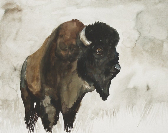 BISON by DIMDIart Original watercolor painting 14x11inch