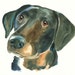 CUSTOM of your PET by DIMDI Original watercolor painting 8X10inch