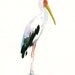 YELLOW billied STORK by DIMDI Original watercolor painting 8X10inch