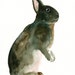 BUNNY Original watercolor painting 8X10inch