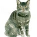 CAT Original watercolor painting 8x10inch