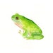 FROG by DIMDI Original watercolor painting 10X8inch