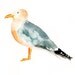 SEAGULL by DIMDI original watercolor painting 10x8inch