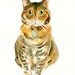 CUSTOM of your PET by DIMDI Original watercolor painting 8X10inchxxxxAll the animals that you wantxxxx