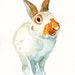 CUSTOM of your BUNNY by DIMDI Original watercolour painting 10X8inch