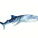 SHARK WHALE by DIMDI Original watercolor painting 10X8inch