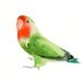 LOVEBIRD by DIMDI Original watercolor painting 10X8inch