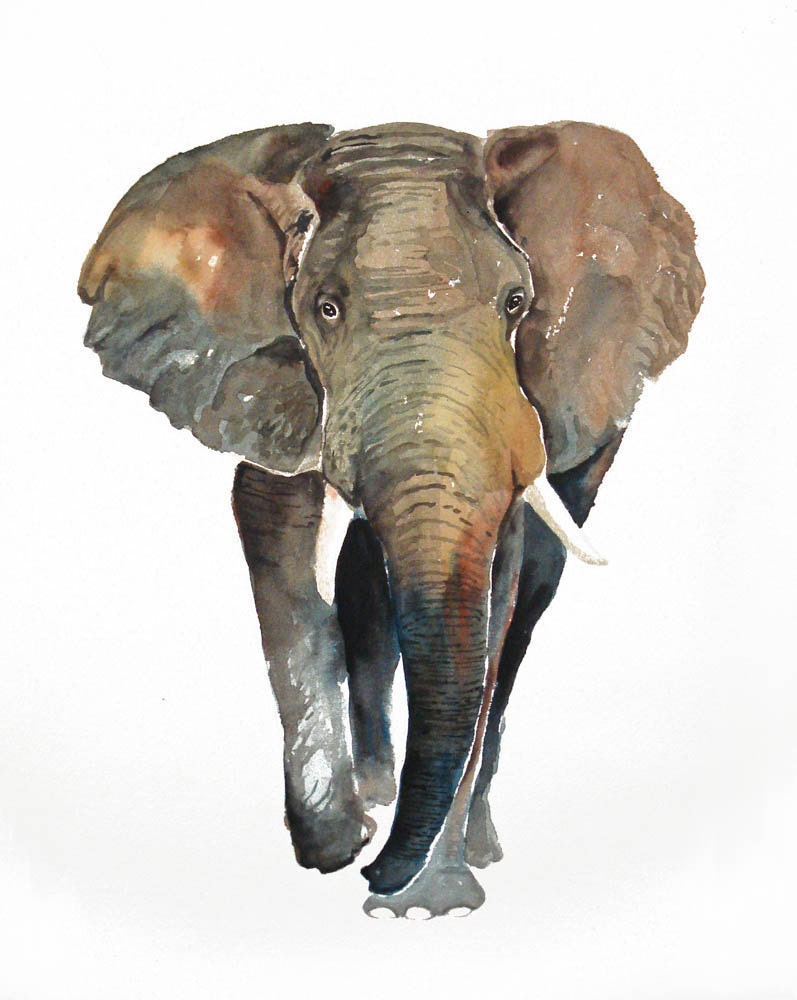 ELEPHANT Original watercolor painting 11X14inch