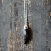 Buried Treasure Pendant Fossil Whale Tooth