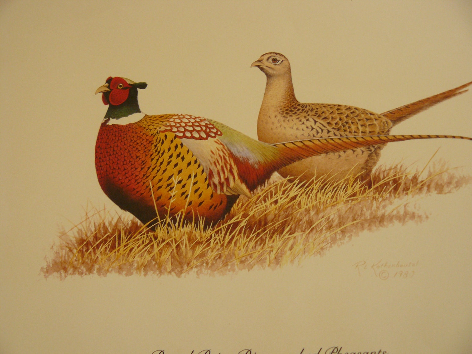 Artist R L Kothenbeutel Signed Numbered Limited Edition Print