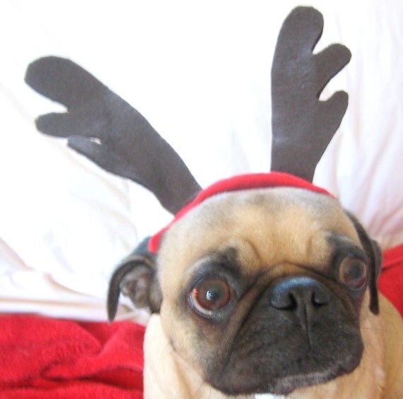 dog or cat christmas antlers dog or cat christmas antlers