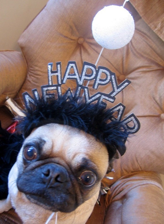 HAPPY NEW YEARS BALL DROP dog or cat hat fits all sizes