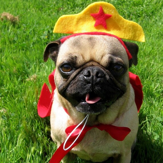 Items similar to Halloween Wonder Women Super Hero pet costume ANY size