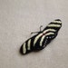 Embroidered Zebra Butterfly Brooch Black and Yellow Striped