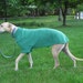 Greyhound Sweater, Medium, Green
