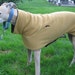 Reversible Winter Coat, Small, female, Greyhound