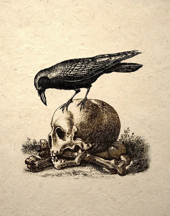 Crow On A Skull Gothic Macabre Art Print Medieval Memento Mori