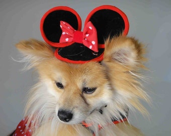 Mini mouse costume for your puppy