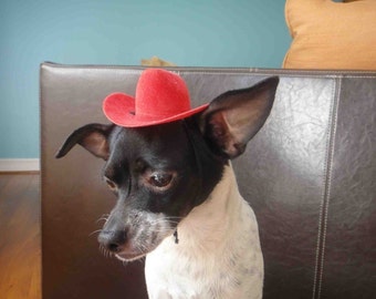 Cowboy hat for dog or cat red color