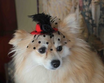 Cute red color mini hat with feather and flowers for dog or cat