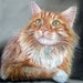 9x12" Custom Cat Pet Portraits Pastel Painting Great Gift for Pet Lovers