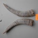 Set of Small Goat Horns- Lot No. R77