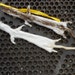 White Winter Phase Lifesize Ermine or Long tailed Weasel Pelt Dry Tanned Lot No WER