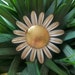 Cute As A Button - Vintage Enamel Daisy Flower Brooch Locket