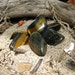 Rita's Triple Tiger's Eye Ritual Stones Pack - Increase Wealth and Vitality, Create Confidence - LAST SET