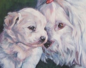 Coton de Tulear dog art CANVAS print of LA Shepard painting 8x8 portrait Coton de Tulear dog art CANVAS print of LA Shepard painting 8x8 portrait