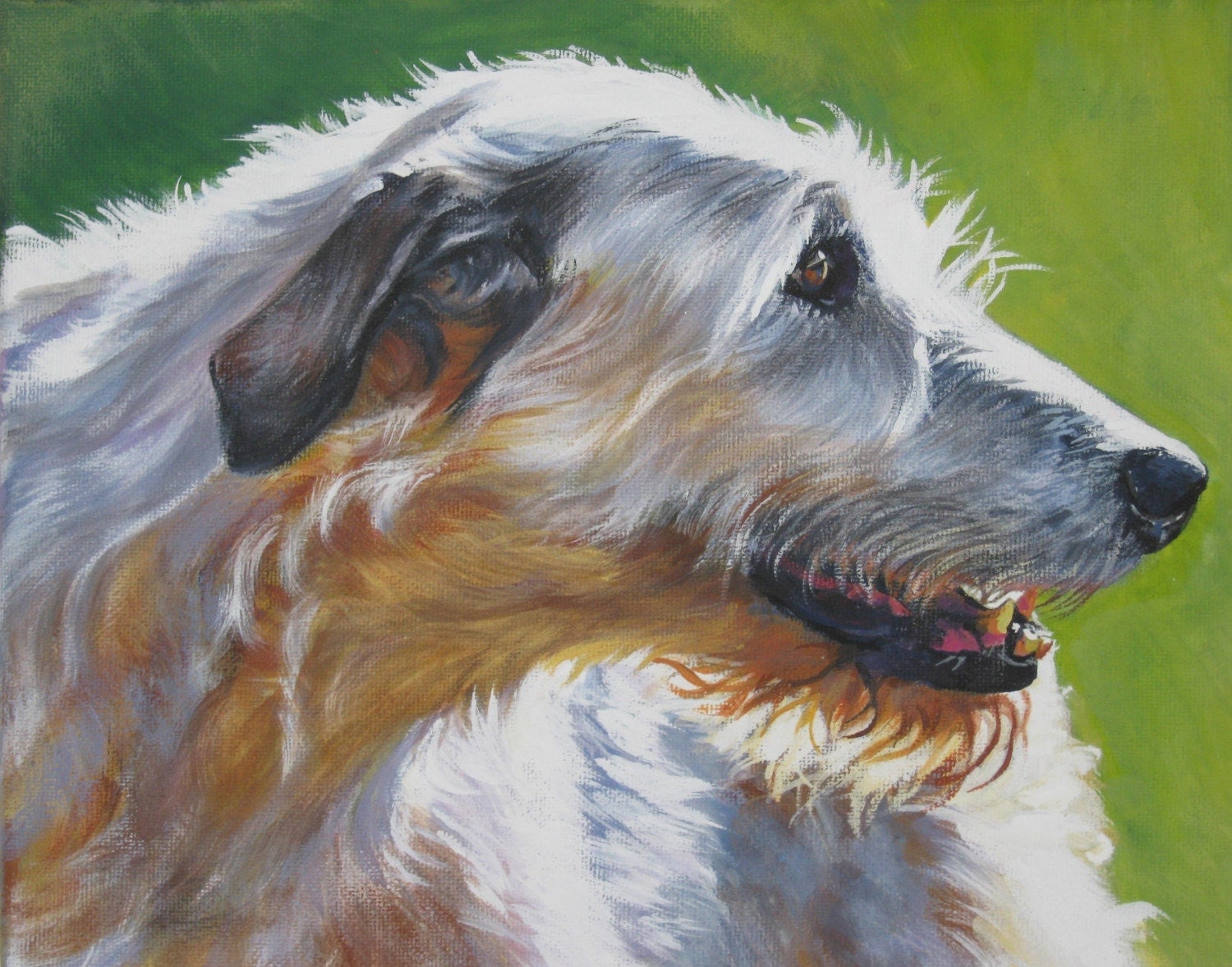 Irish Wolfhound dog art portrait canvas print of LA Shepard