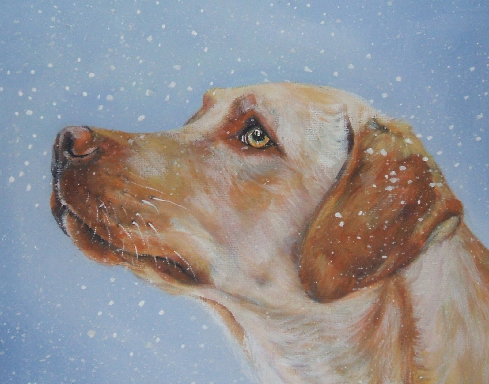 Labrador Retriever art portrait CANVAS print of LA Shepard