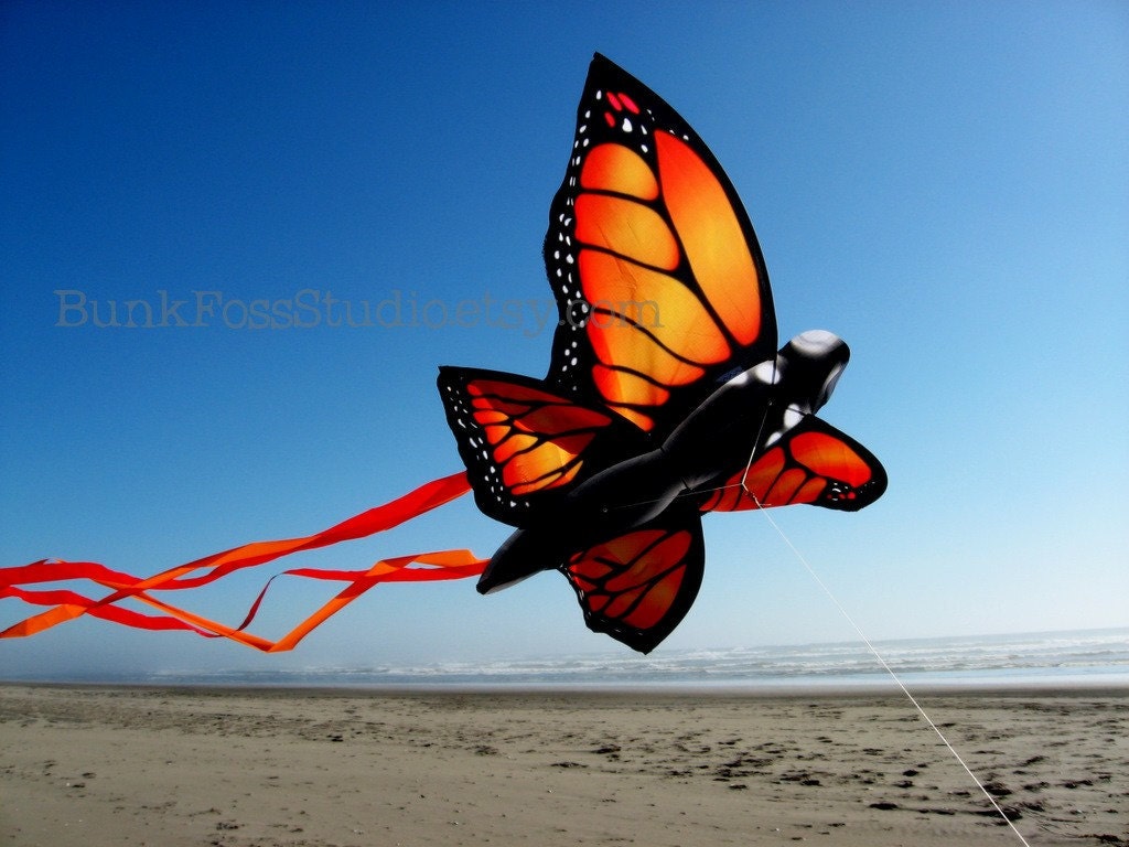 Items similar to MONARCH BUTTERFLY KITE 5 x 7 Fine Art Print Bunk Foss