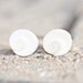 Shiva Eye Shell Stud Earrings Sterling Silver Swirl turbo sea snail white beach fashion aqua marine nautical vacation tbteam