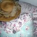 Pillow Shabby Chic Symphony in Blue and Roses
