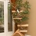 Mature (large) Cat Tree House